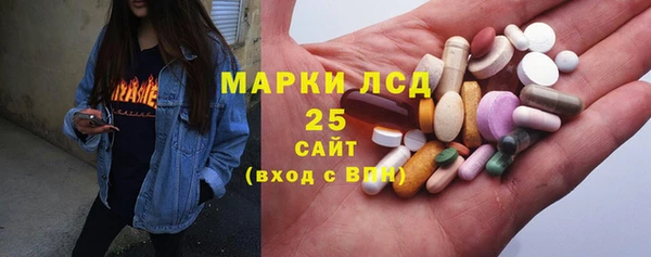 сатива Надым