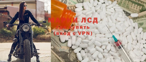 сатива Надым