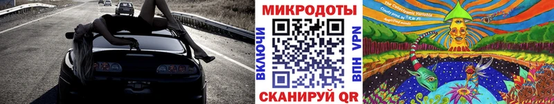 Галлюциногенные грибы Psilocybe  Мосальск 